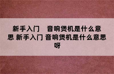 新手入门    音响煲机是什么意思 新手入门 音响煲机是什么意思呀